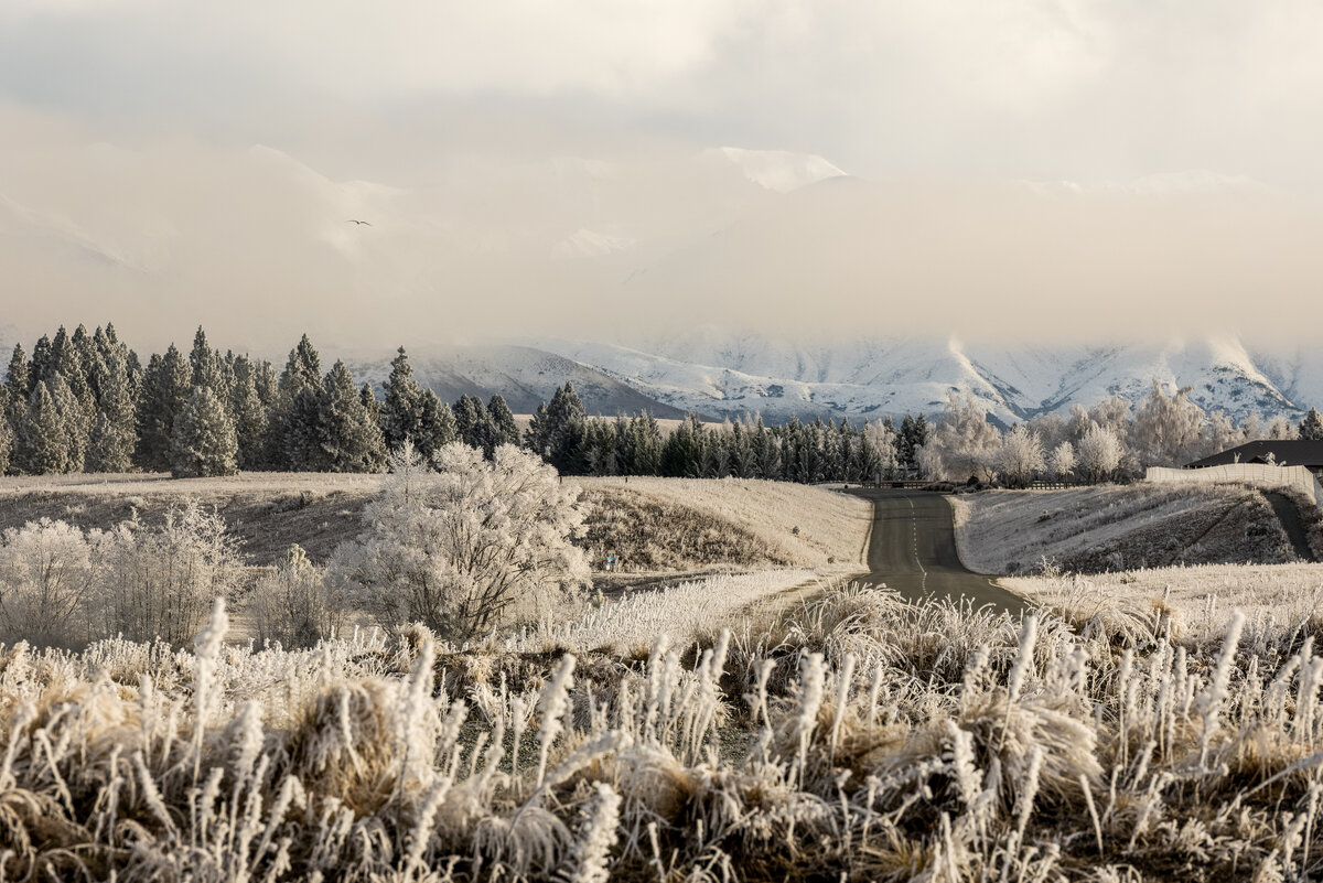 jg-20260713-Canon EOS R5m2-3594-Edit-LargeJPEG.jpg