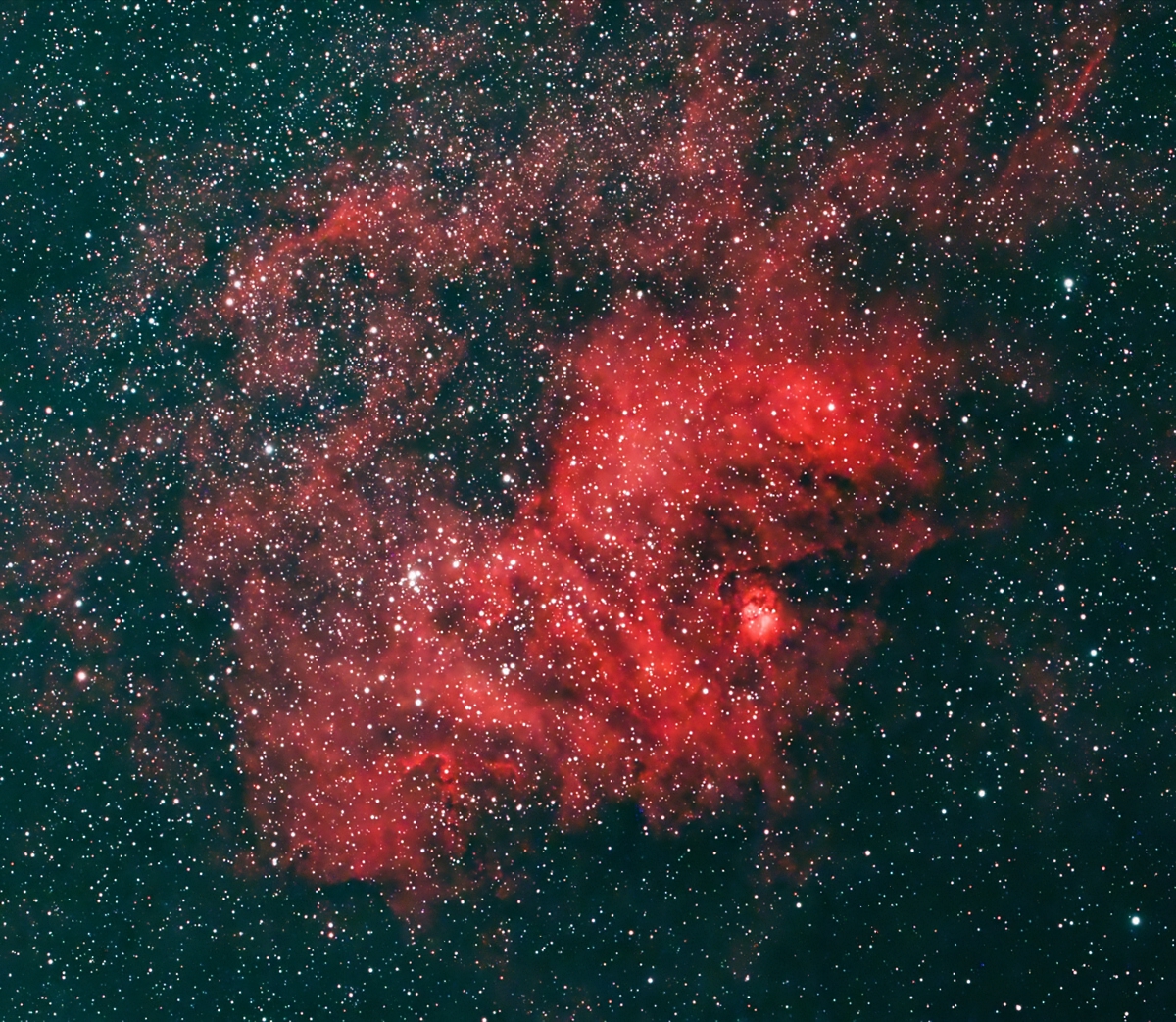 Jims_Sh2-54_NXT.jpg