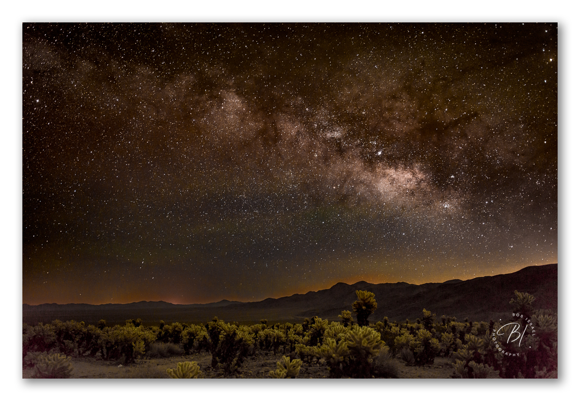 Joshua Tree 040924-3_1192x823_U_100_Long Edge.jpg