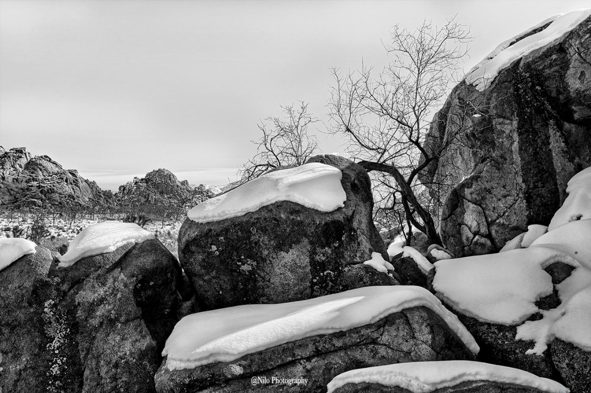 JTNP 5 blk&wht.jpg