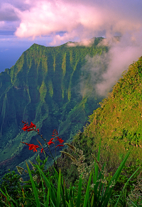 kalalau valley II.jpg