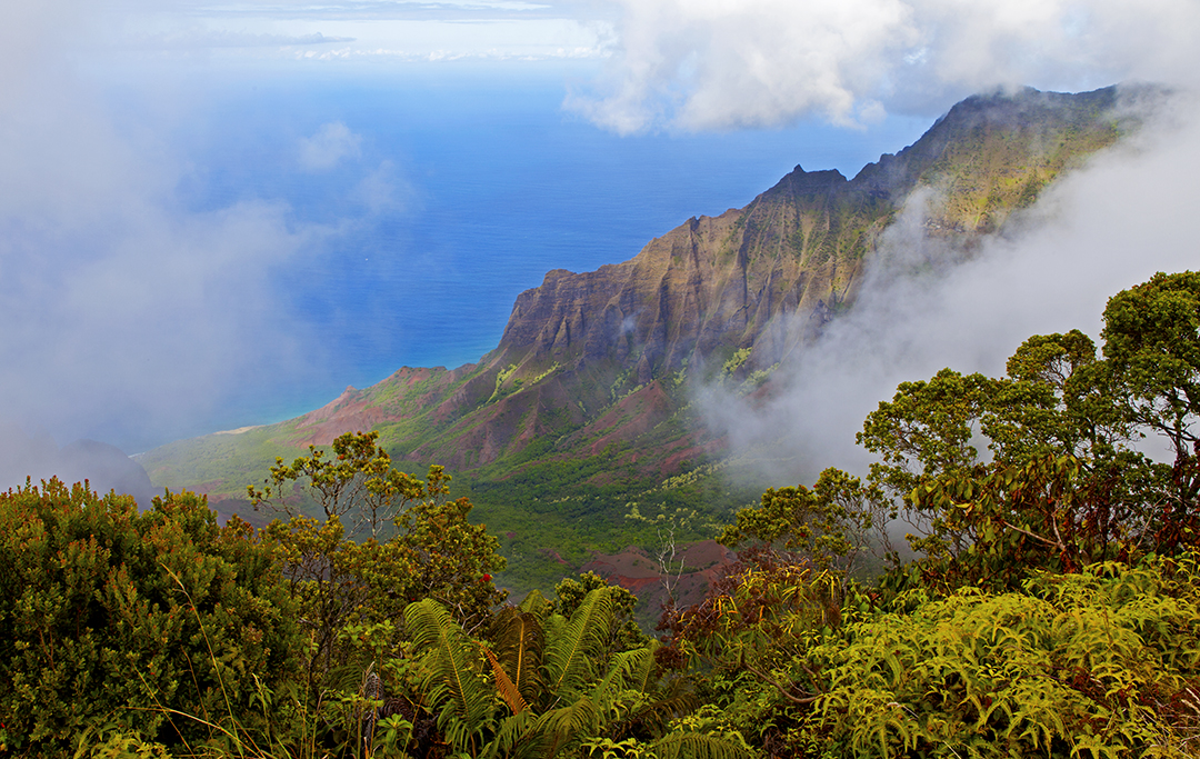 Kalalau Valley Kokee State Park 2.jpg