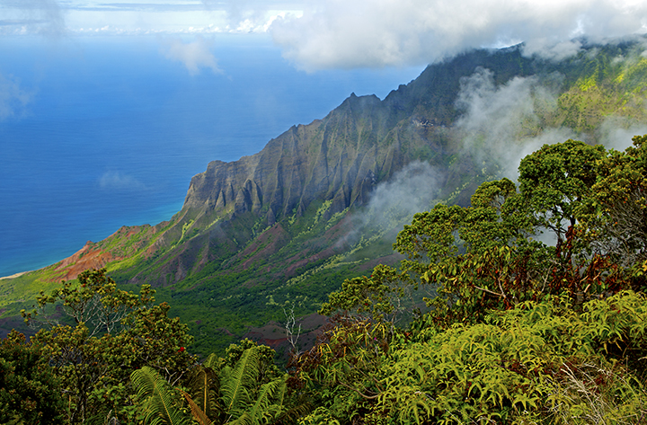 Kalalau Valley Kokee State Park.jpg