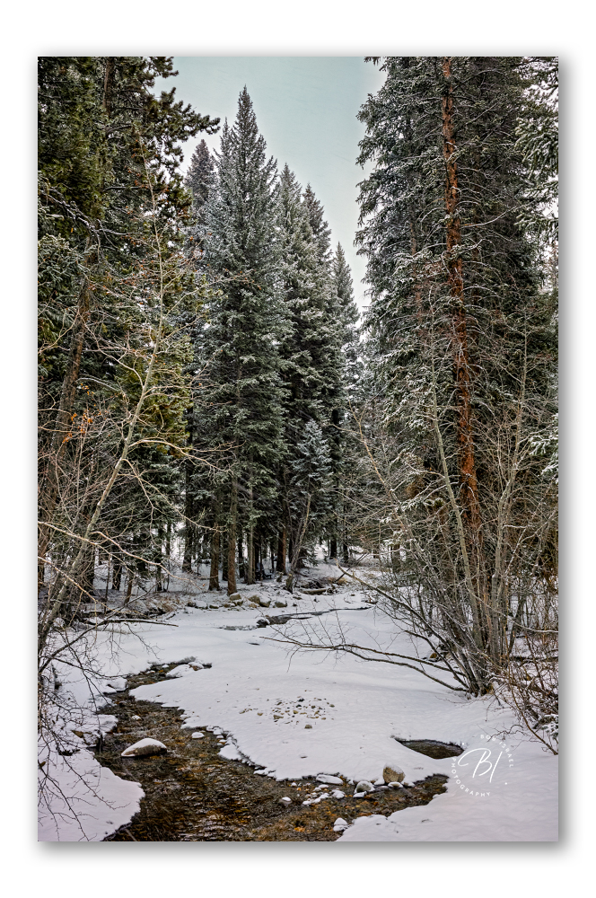 Keystone 031425-31-Edit_664x1000_U_100_BIP 1000.jpg