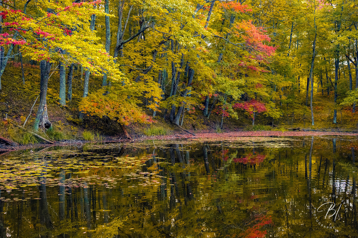 Khead 092423-229-Edit-Edit-Edit.jpg