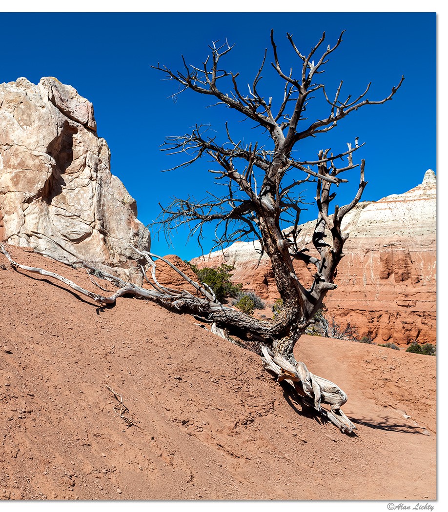 KodachromeBasin5 (2).jpg
