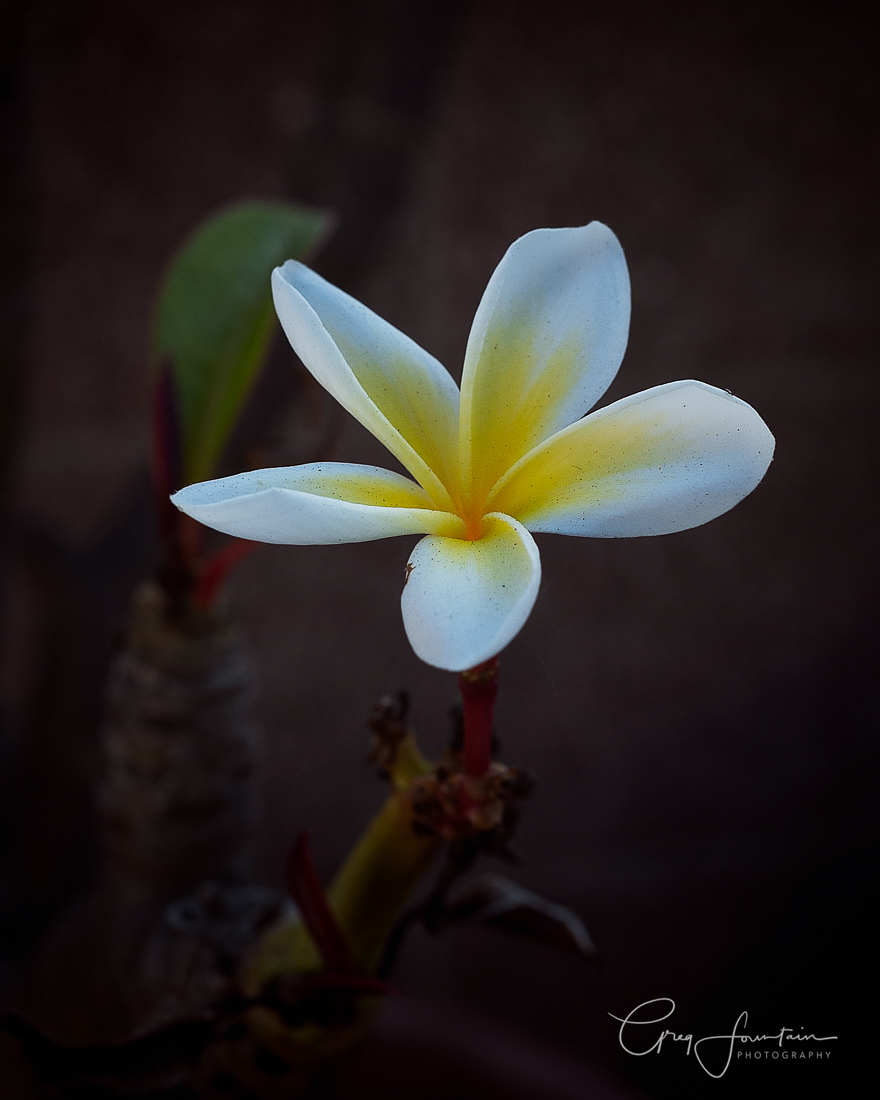 L1000329-Edit-Edit.jpg