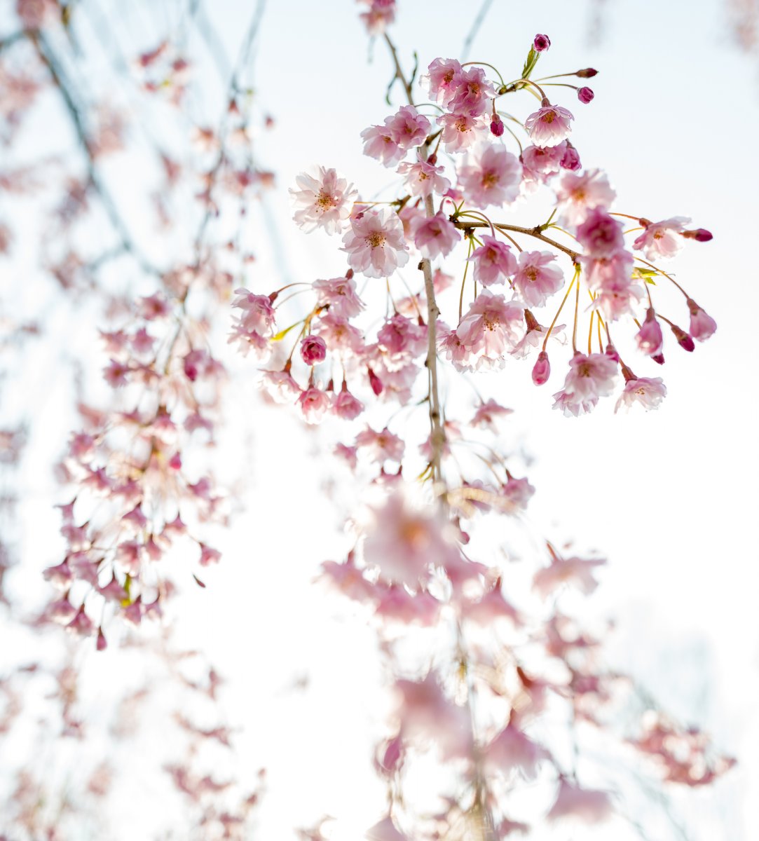 L1010163-Edit.jpg