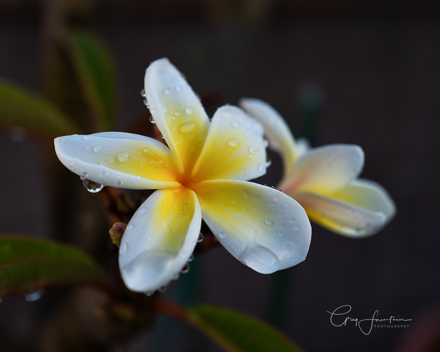L1040421-Edit-Edit-Edit-Edit.jpg