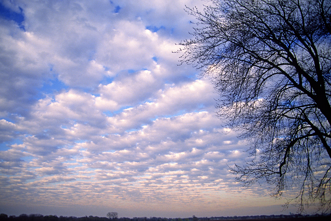 lake county alto.jpg