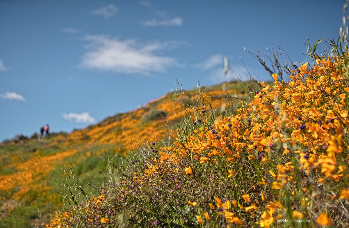 Lake Elsinore 11.jpg