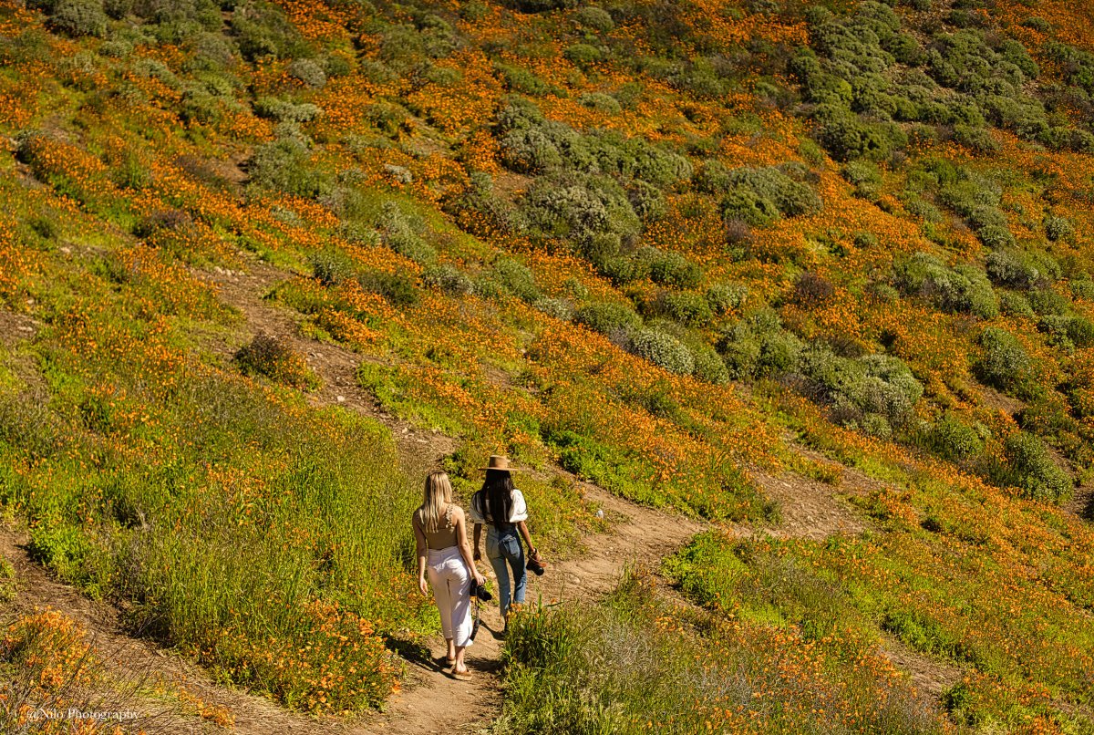 Lake Elsinore 8.jpg