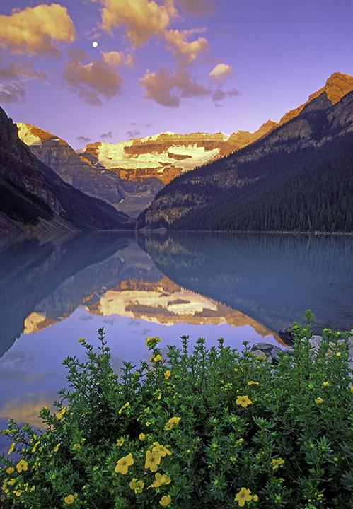 lake louise  II fw.jpg