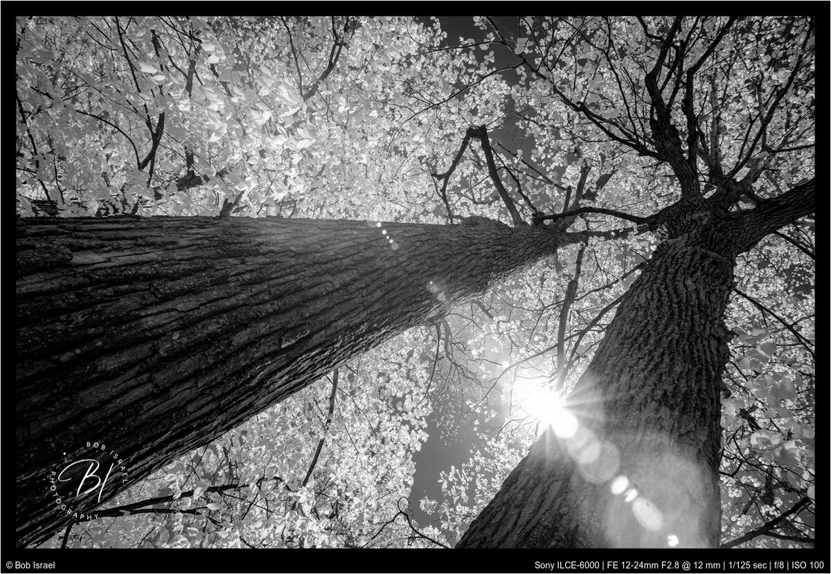 Lake Minnetonka 051622-4-Edit-Edit.jpg