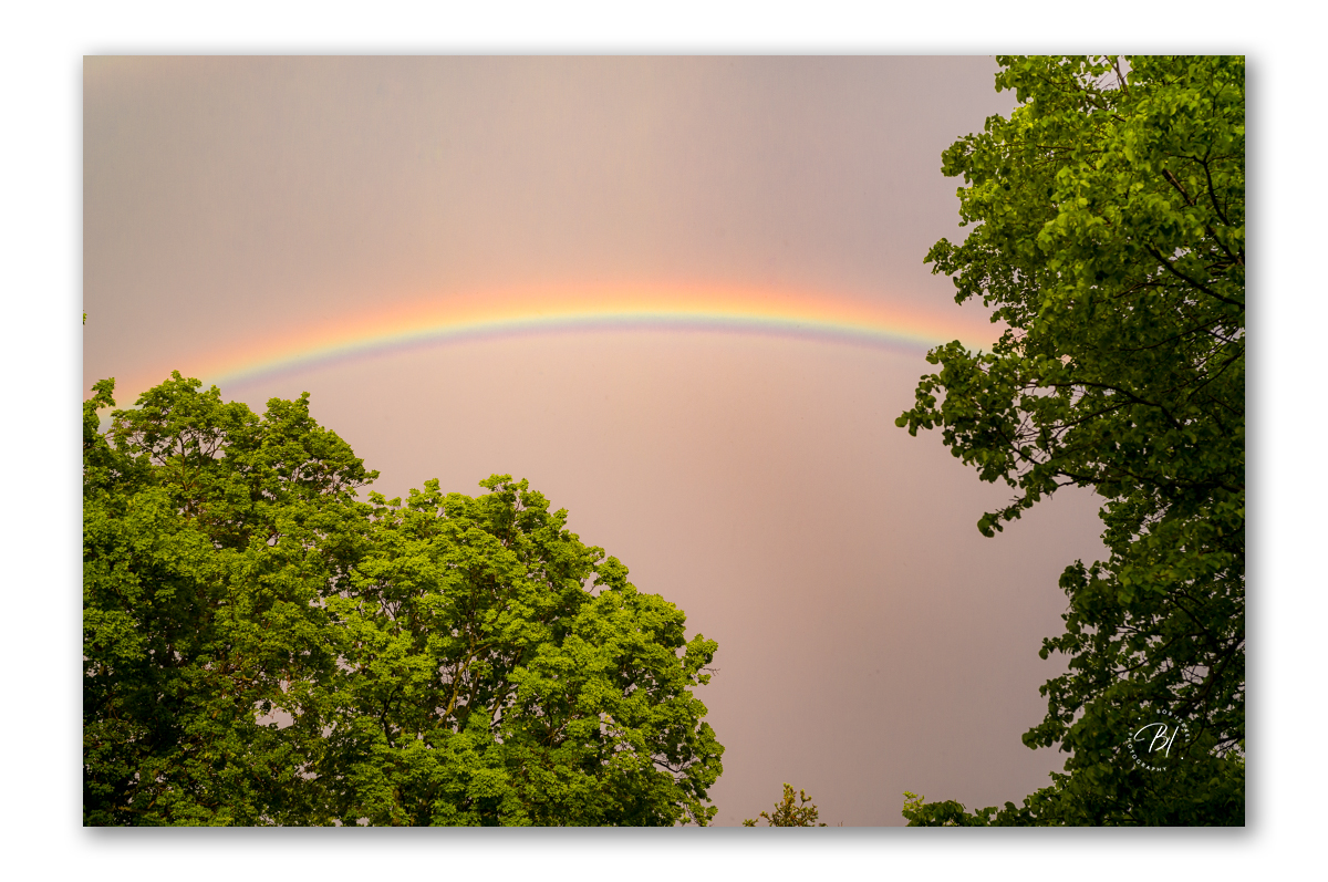 Lake Minnetonka 051724-8_1200x797_U_100_Original ratio.jpg