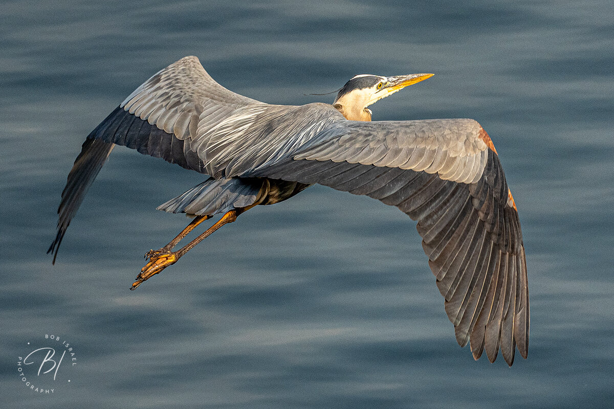 Lake Minnetonka 061723-46-Edit.jpg