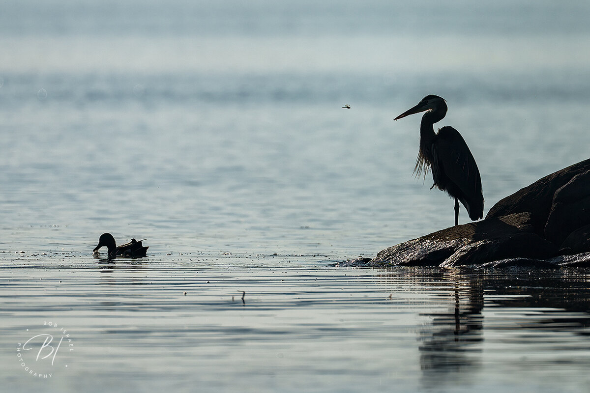 Lake Minnetonka 062823-72-Edit-Edit.jpg