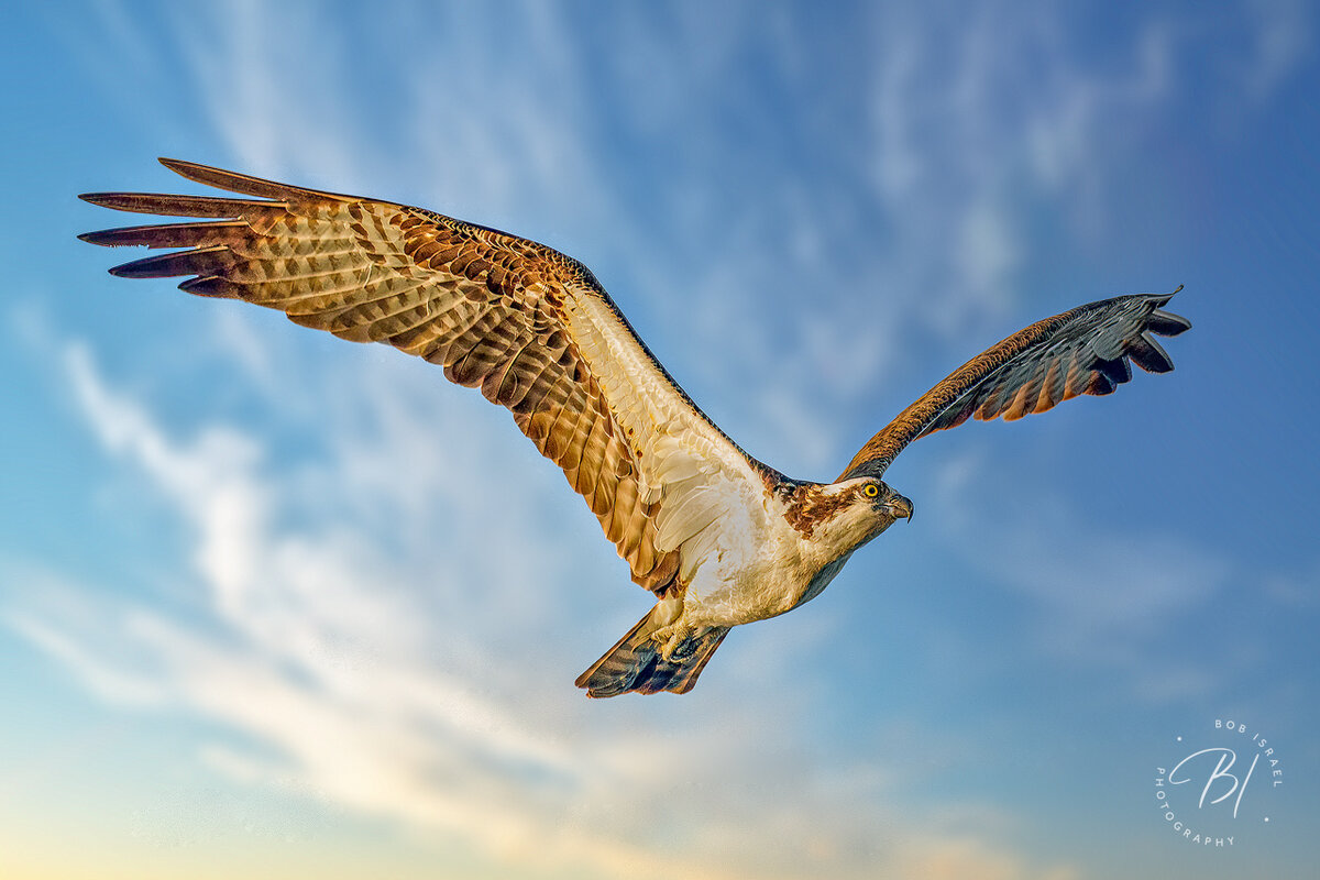 Lake Minnetonka 062923-170-Edit-Edit-Edit-Edit.jpg