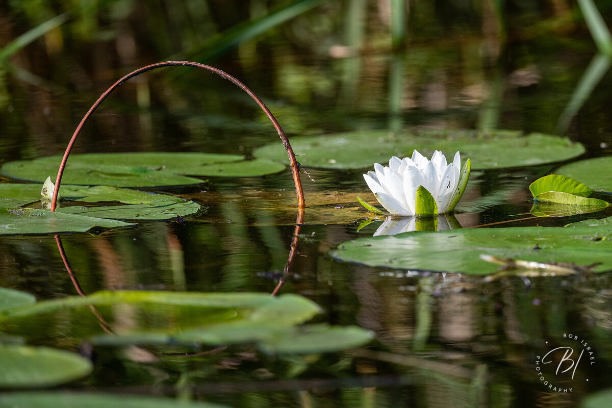 Lake Minnetonka 080422-435-Edit.jpg