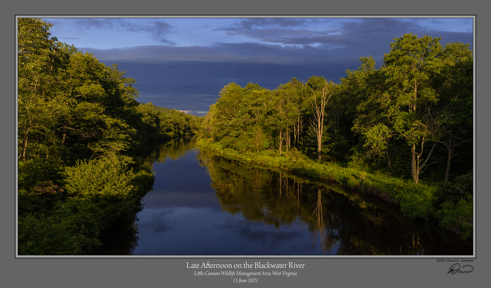 Late Afternoon Blackwater River.jpg