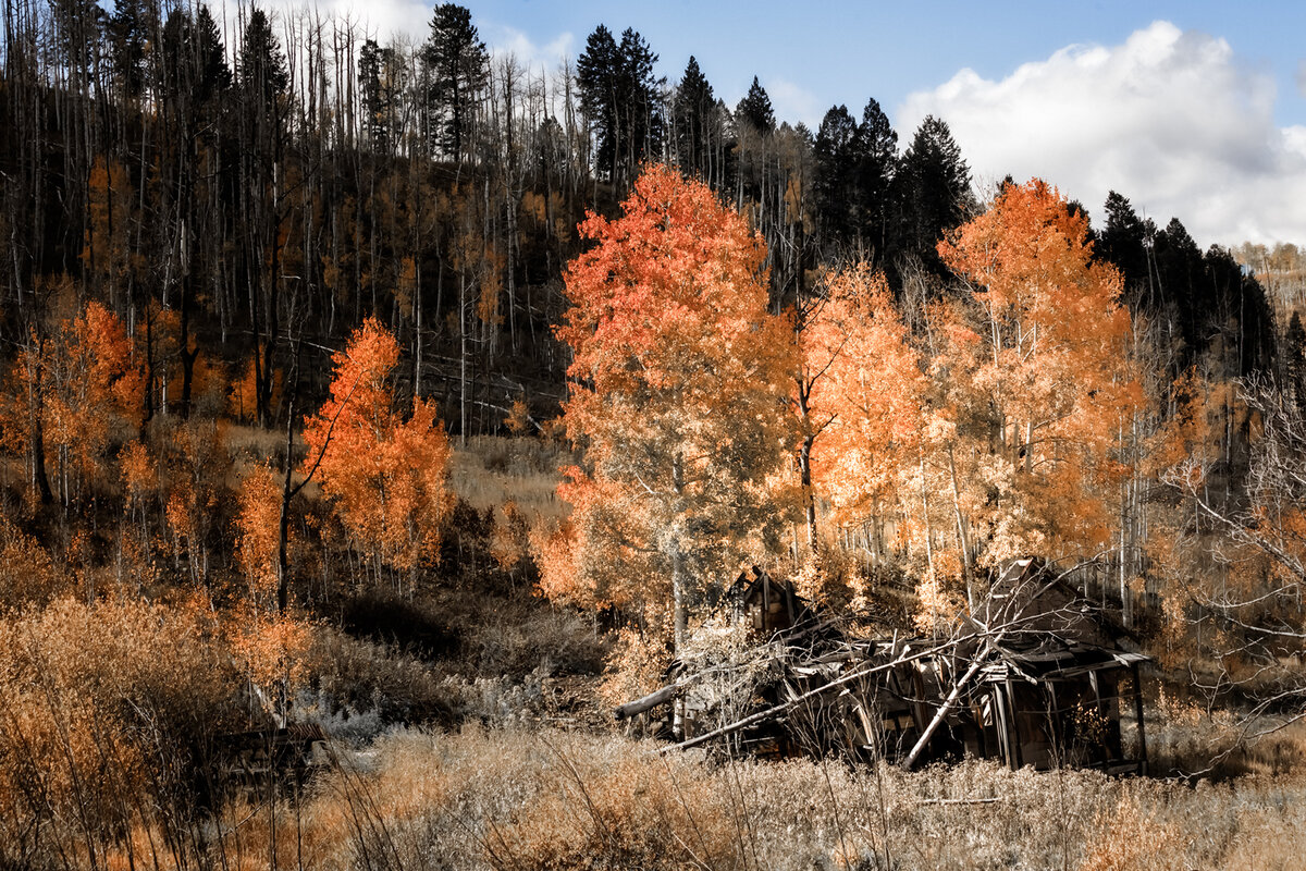 Late-Fall-2021-1.1.jpg