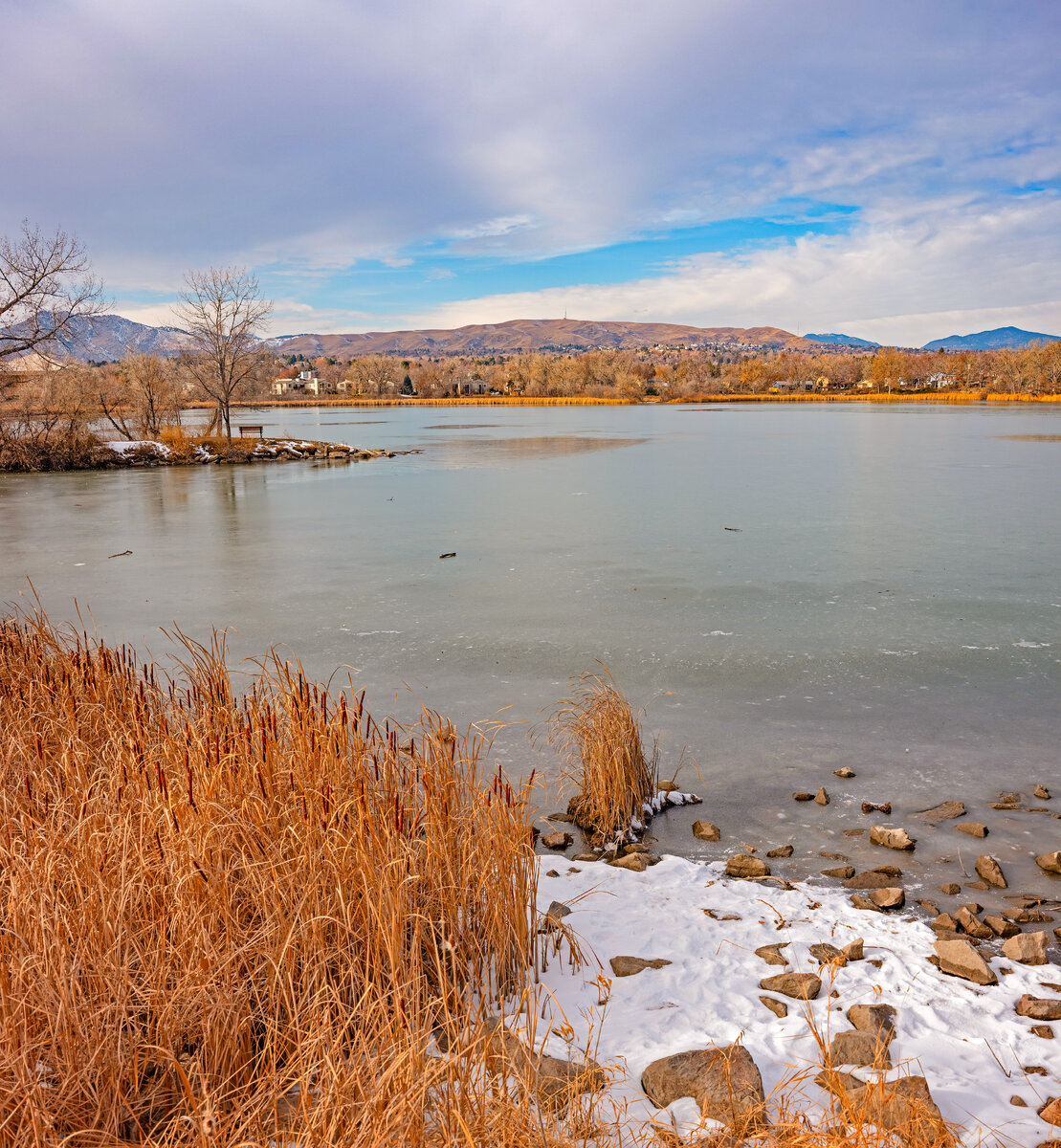 Late Winter.jpg