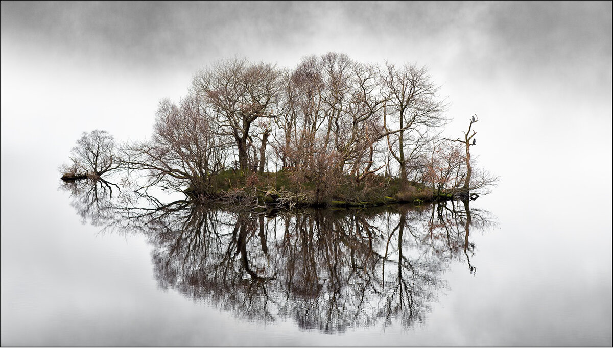 latest_DSC2773-2 (3).jpg