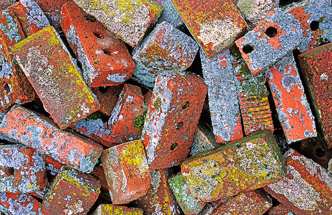 lichen covered bricks.jpg