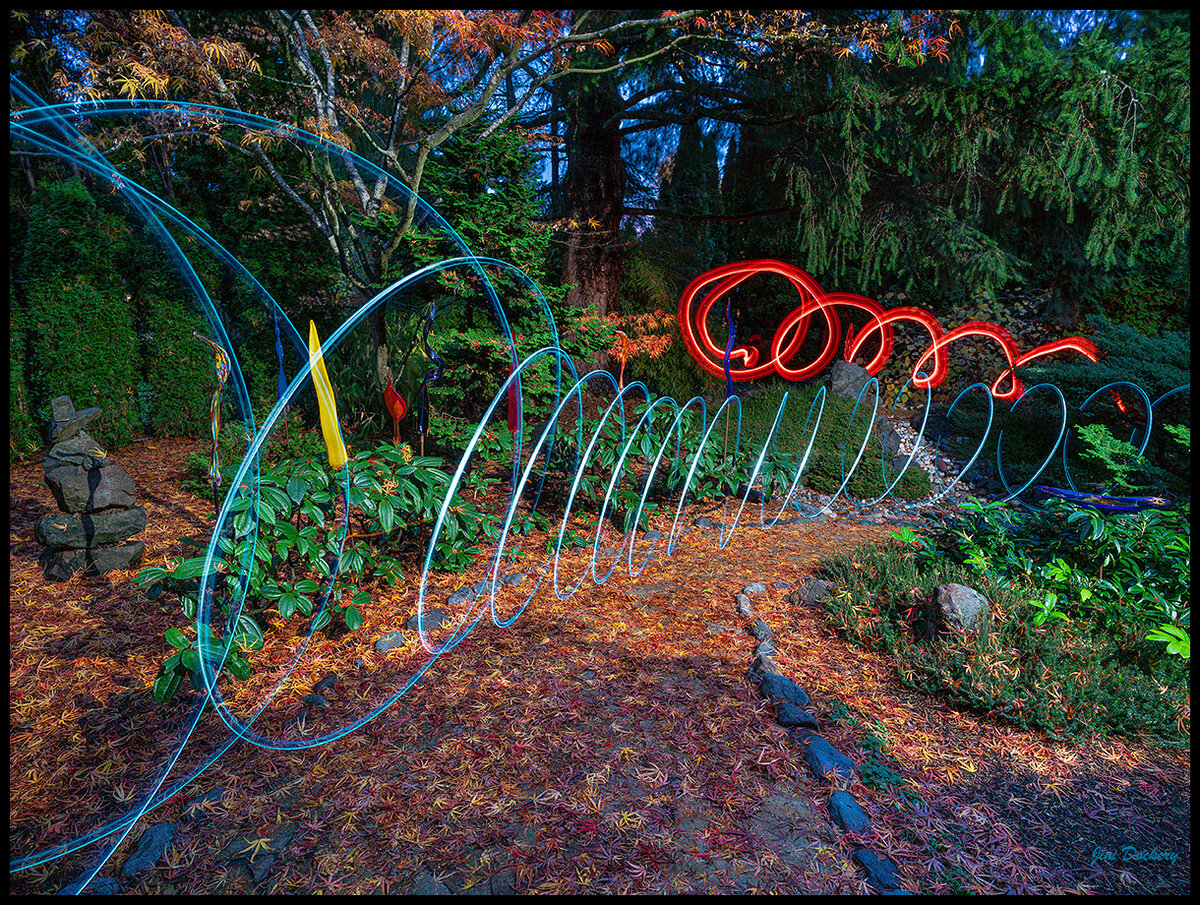 Light-Painting-yard-11.17.20-11.jpg