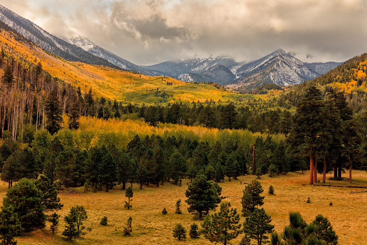 Locket Meadow.jpg