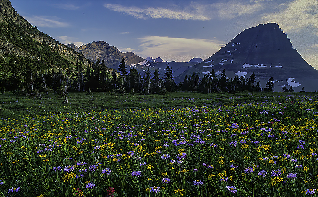 Logan Pass, Glacier National Parki, MT-Edit.jpg