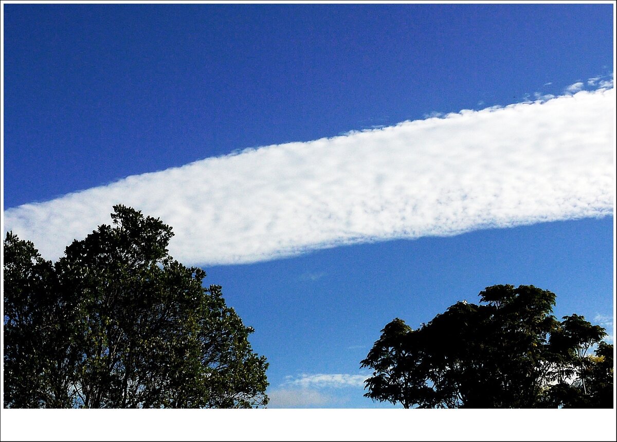 long cloud.JPG