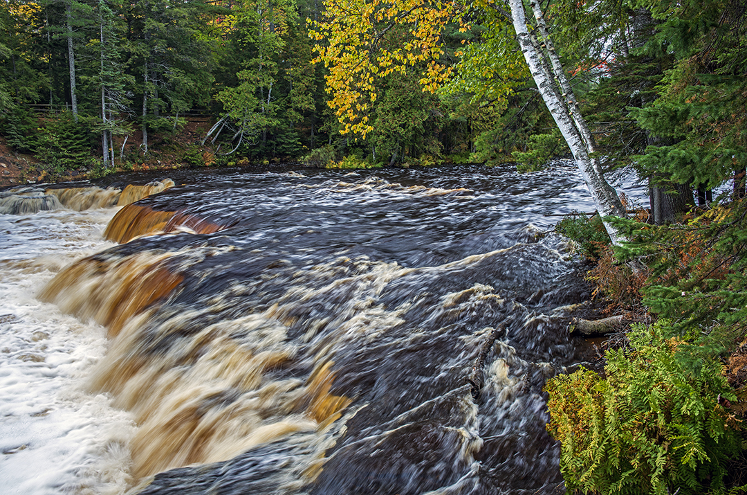 Lower Tahquamenon Falls  (1 of 1).jpg