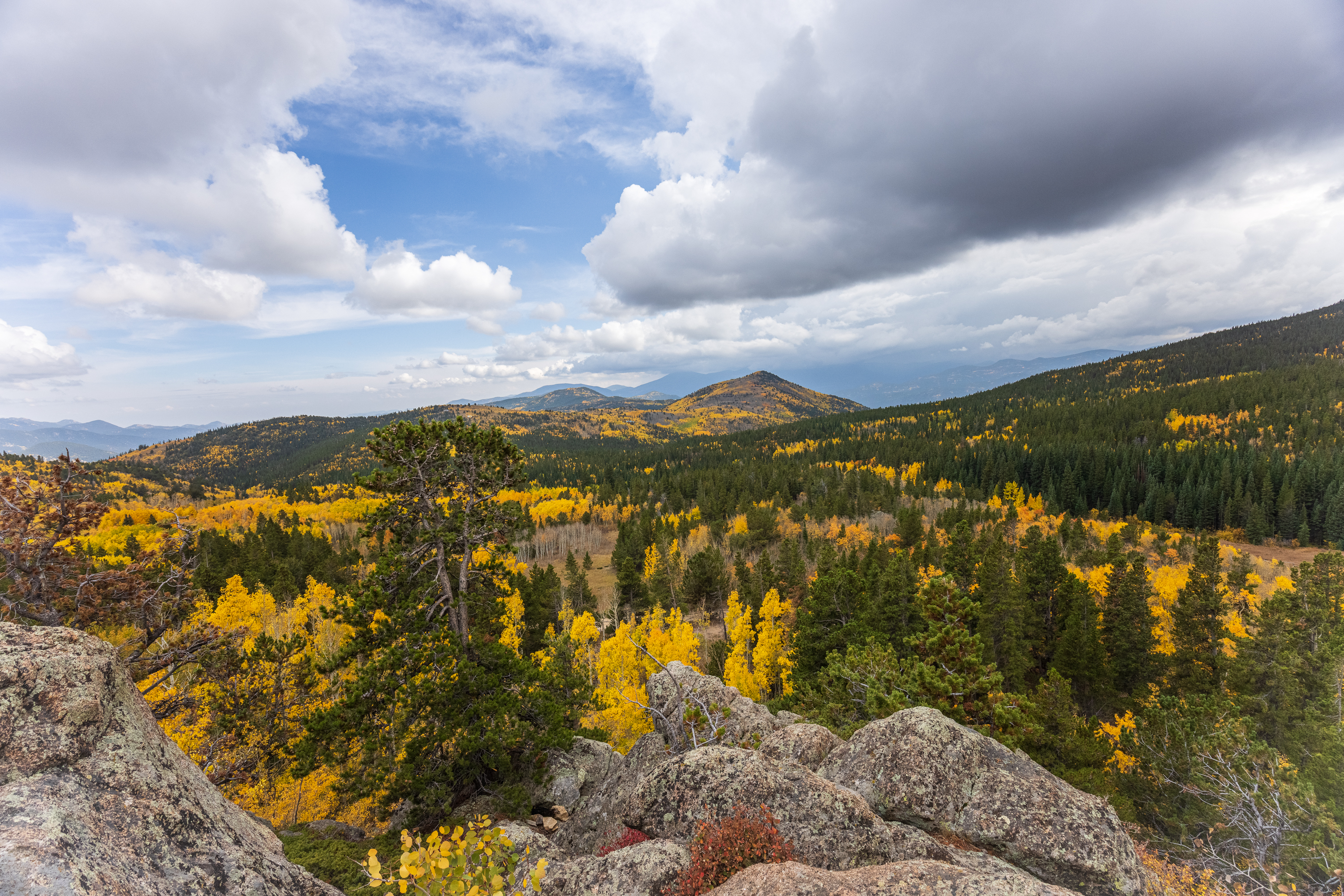 LRCC_sRGB_FW_ColorfulView_TAP_9129.jpg
