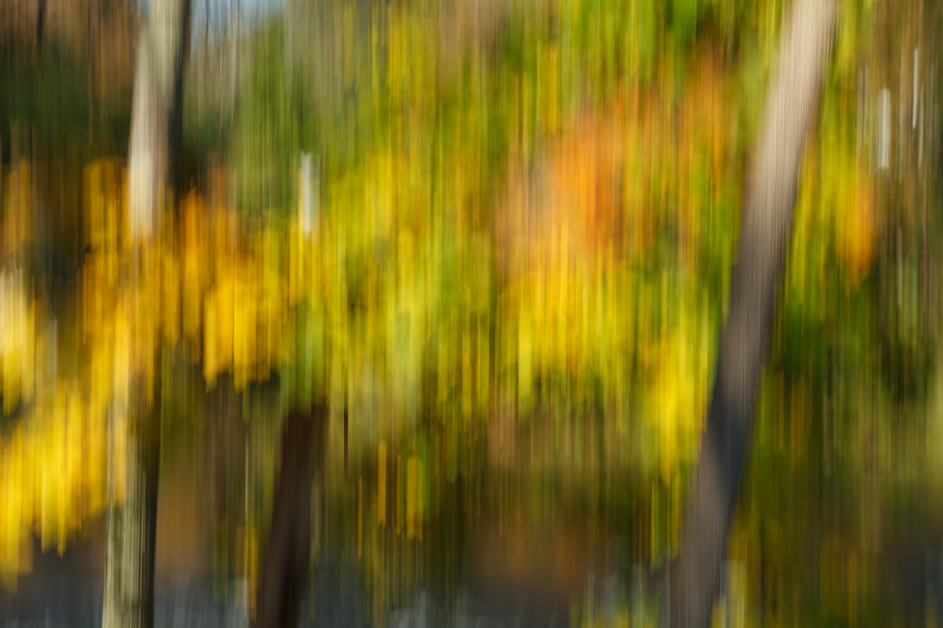 LRCC_sRGB_FW_IMG_1076.jpg