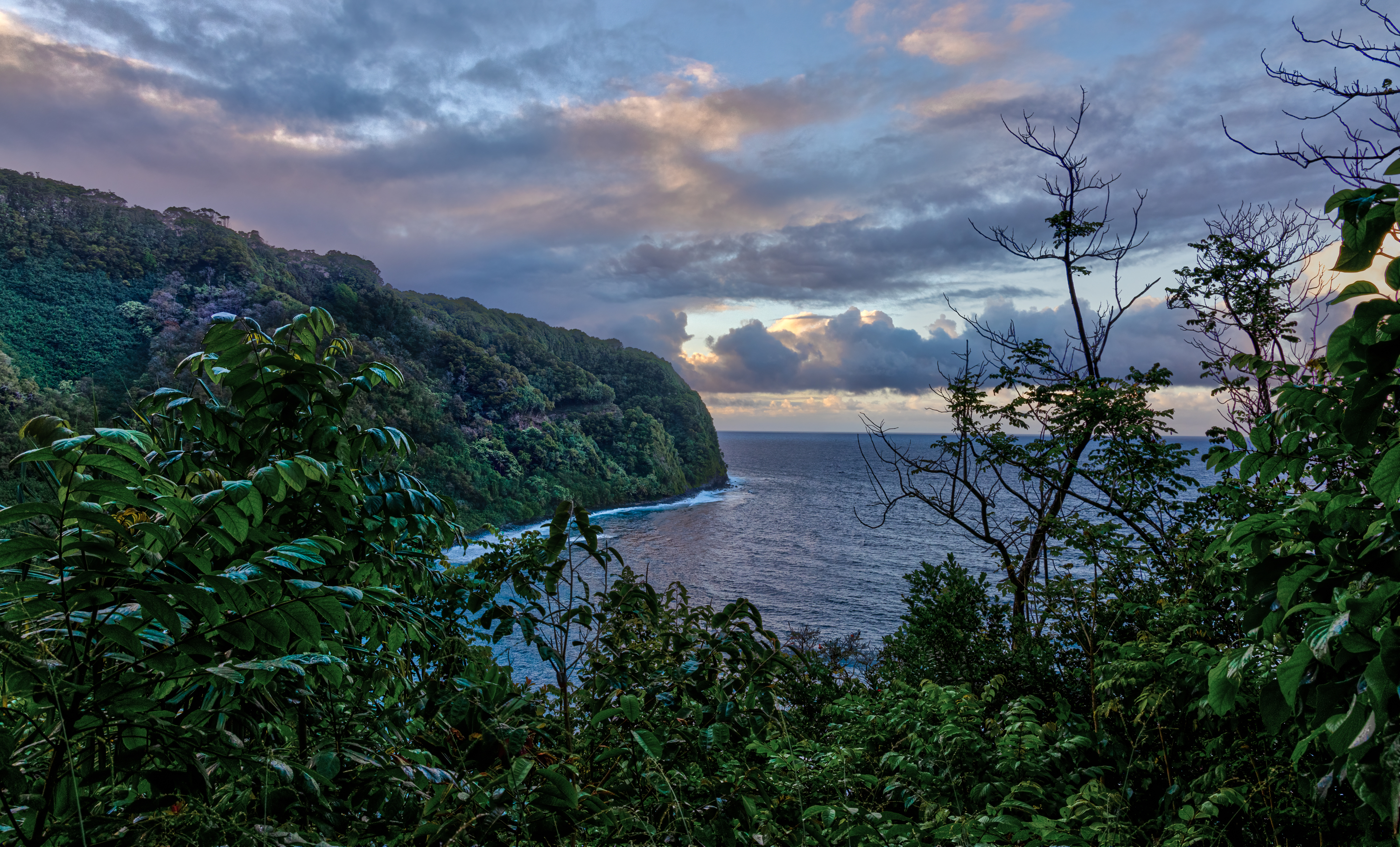 LRCC_sRGB_FW_MauiJungleShore_sRGB_TAP_5144_6_8_Balancer.jpg