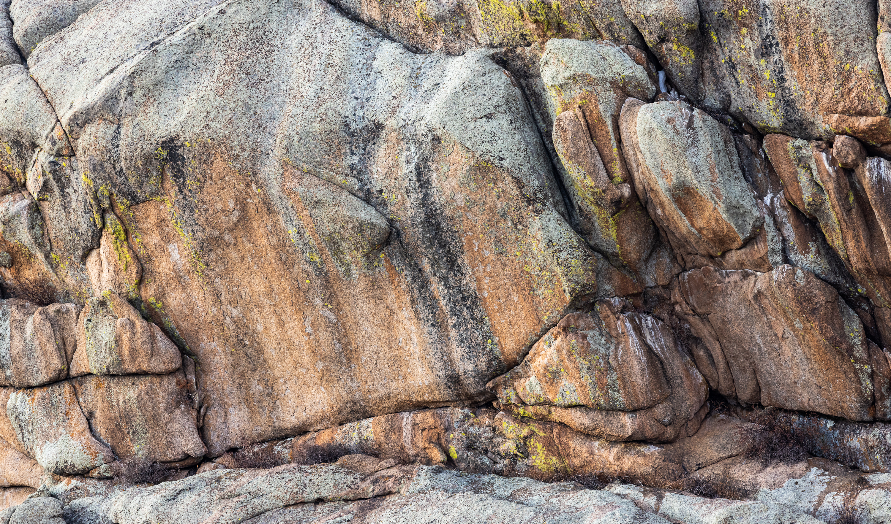 LRCC_sRGB_FW_RockStudy_TAP_4422.jpg