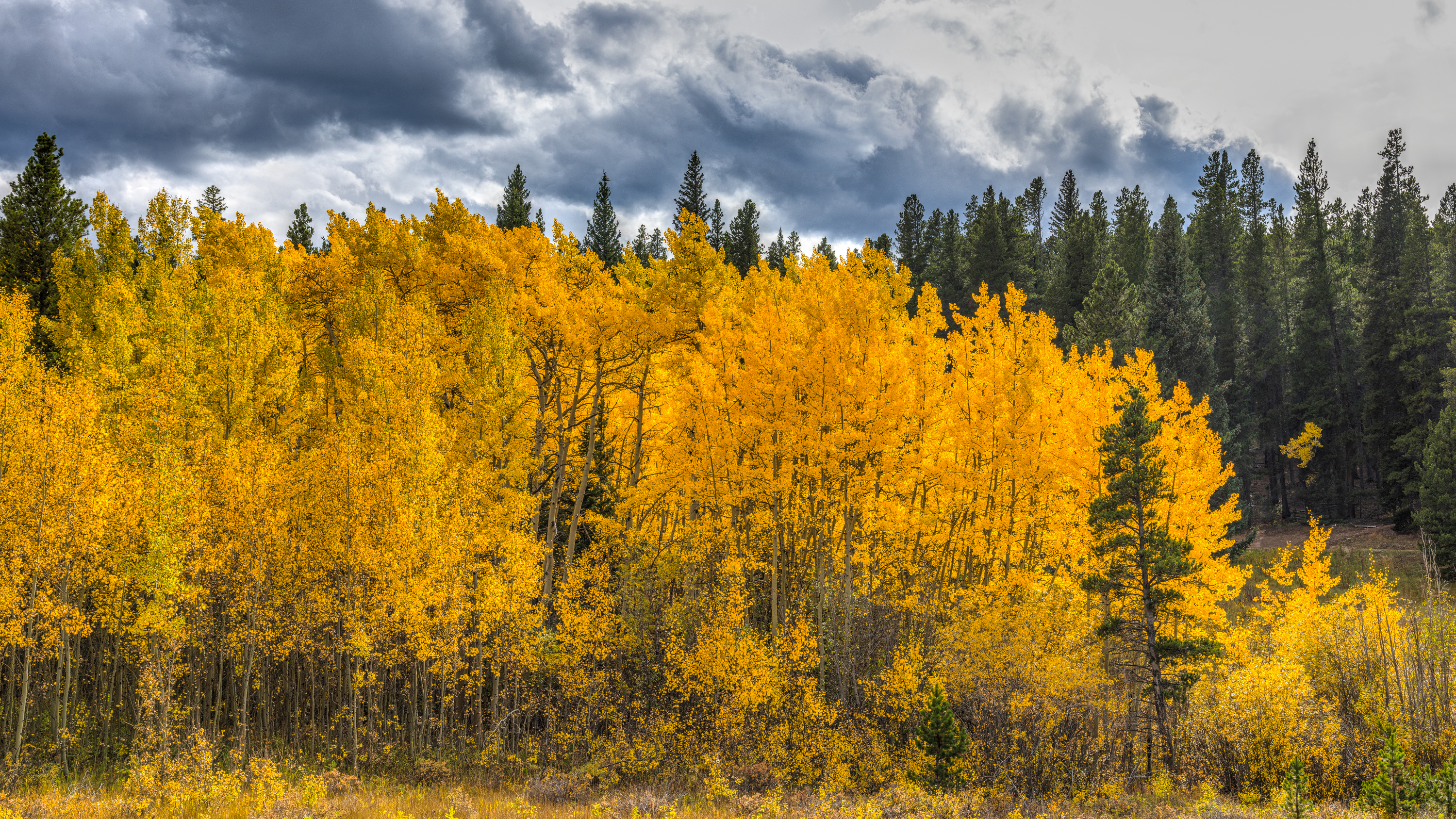 LRCC_sRGB_FW_TAP12967_8_9.jpg