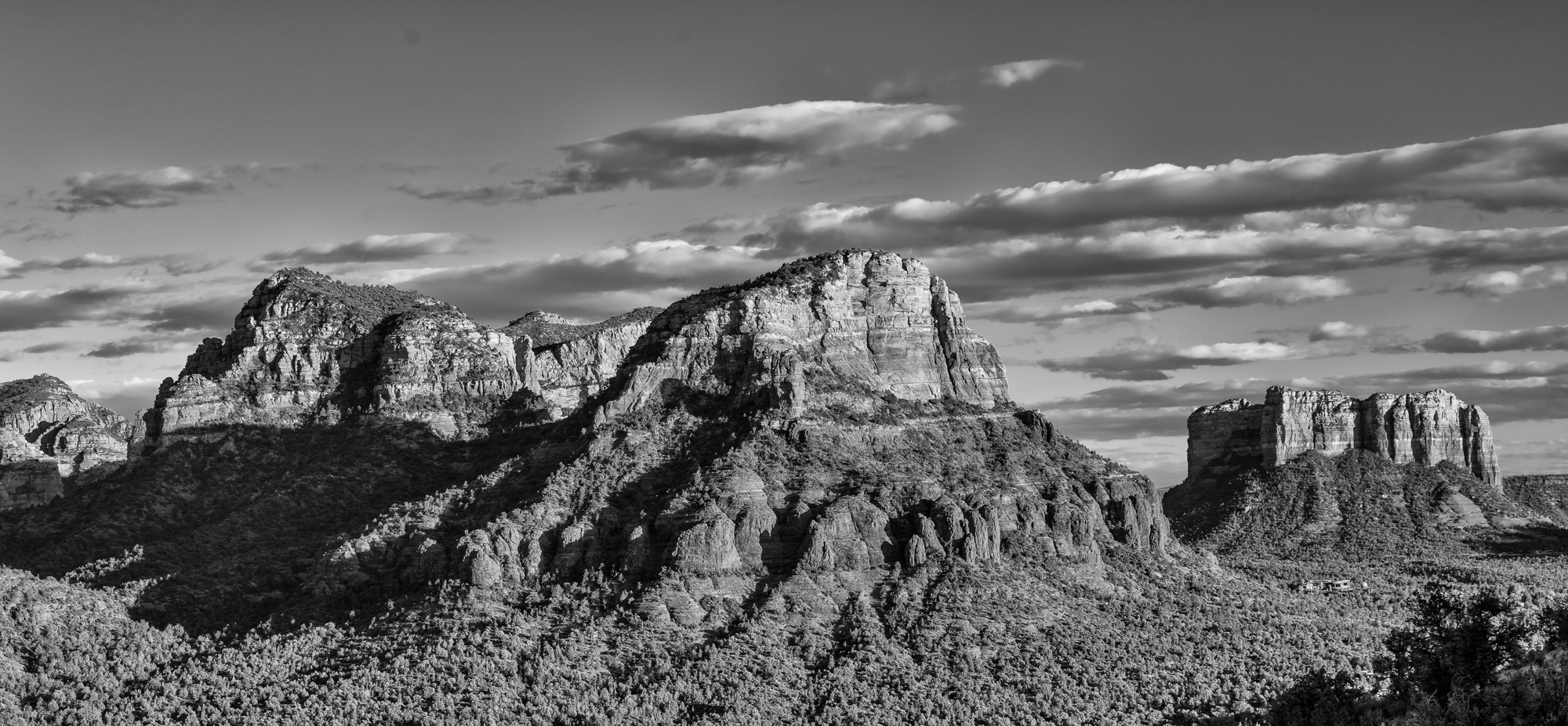 LRCC_sRGB_PSCC_TAP09680_B&W.jpg