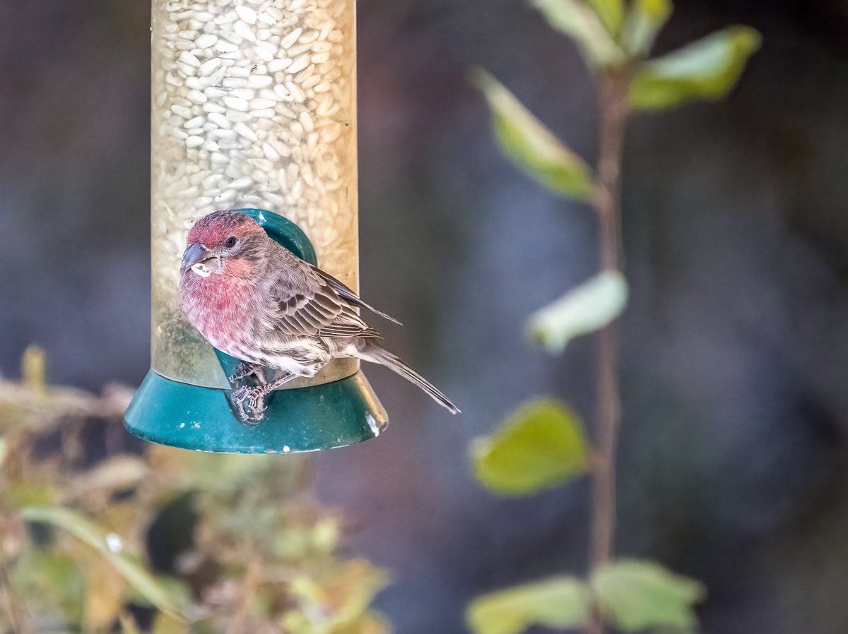 LRCC_sRGB_TAP_0064.jpg