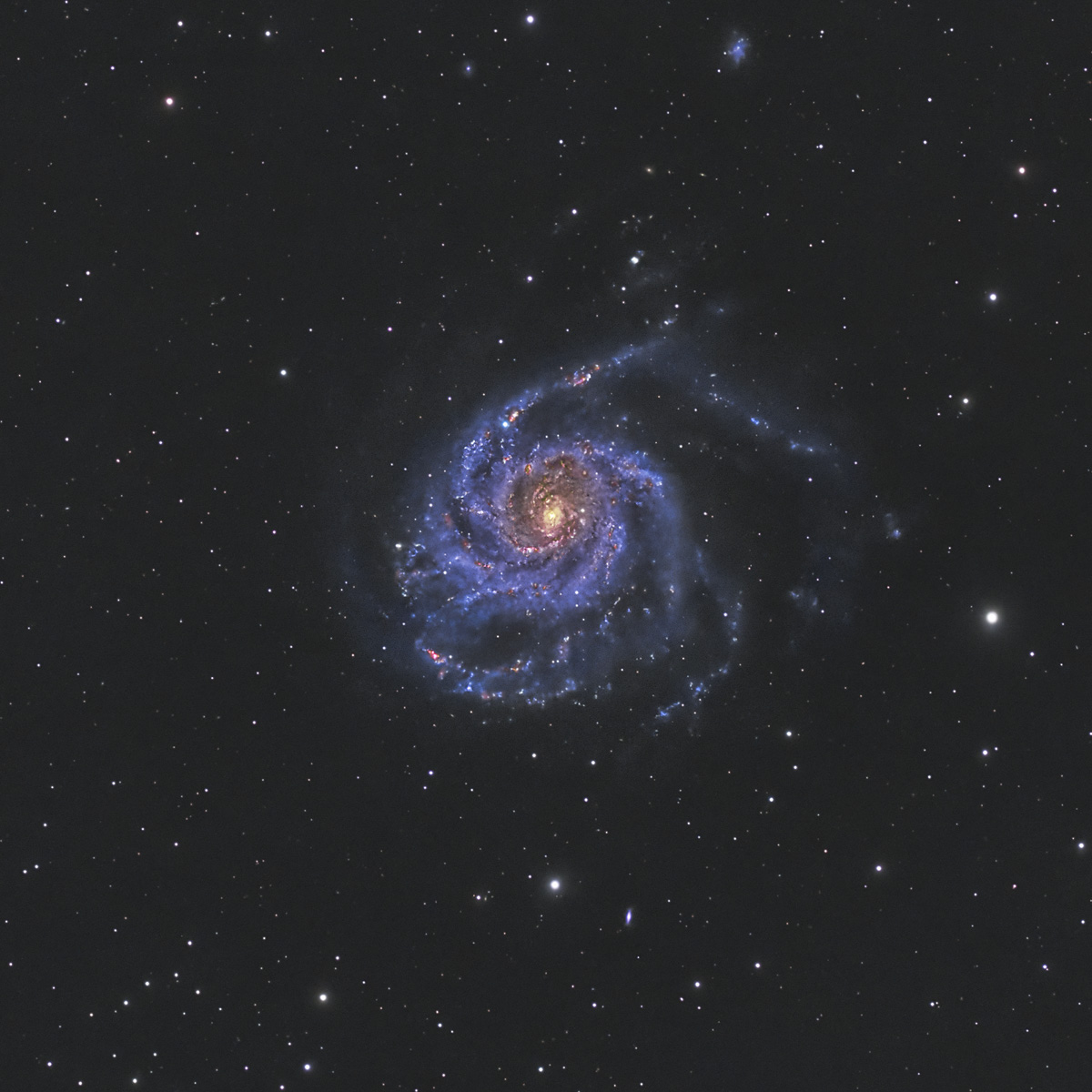 M101_20230524_SuperNova_d2w.jpg