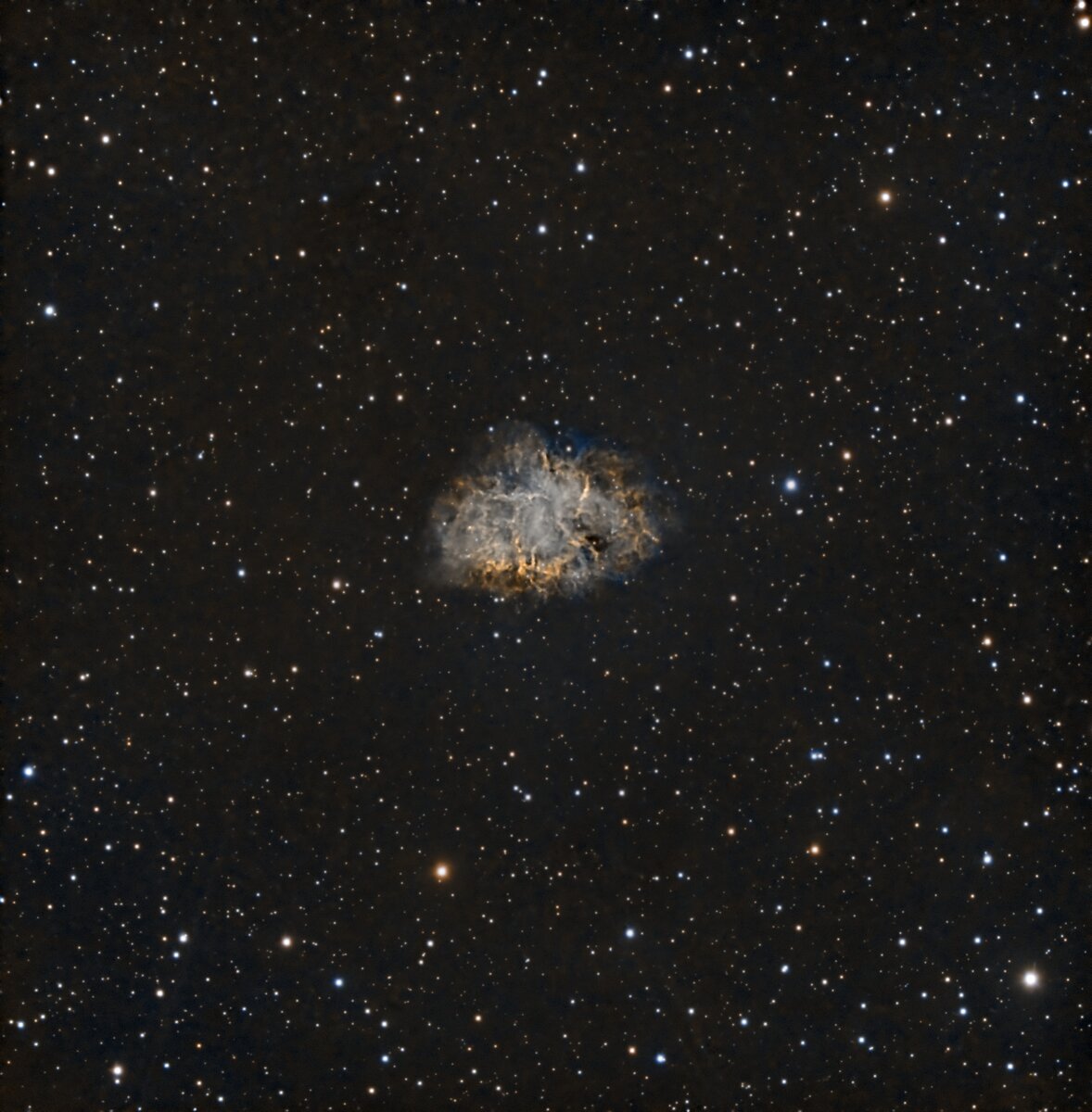 M1_C8_1st_light_1_29_24.jpg