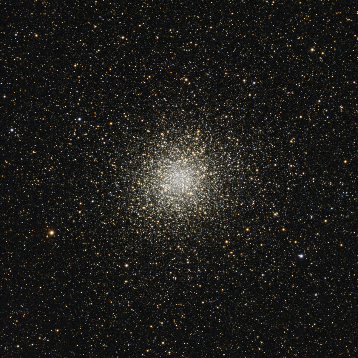 M22 Combi-LargeJPEG.jpg