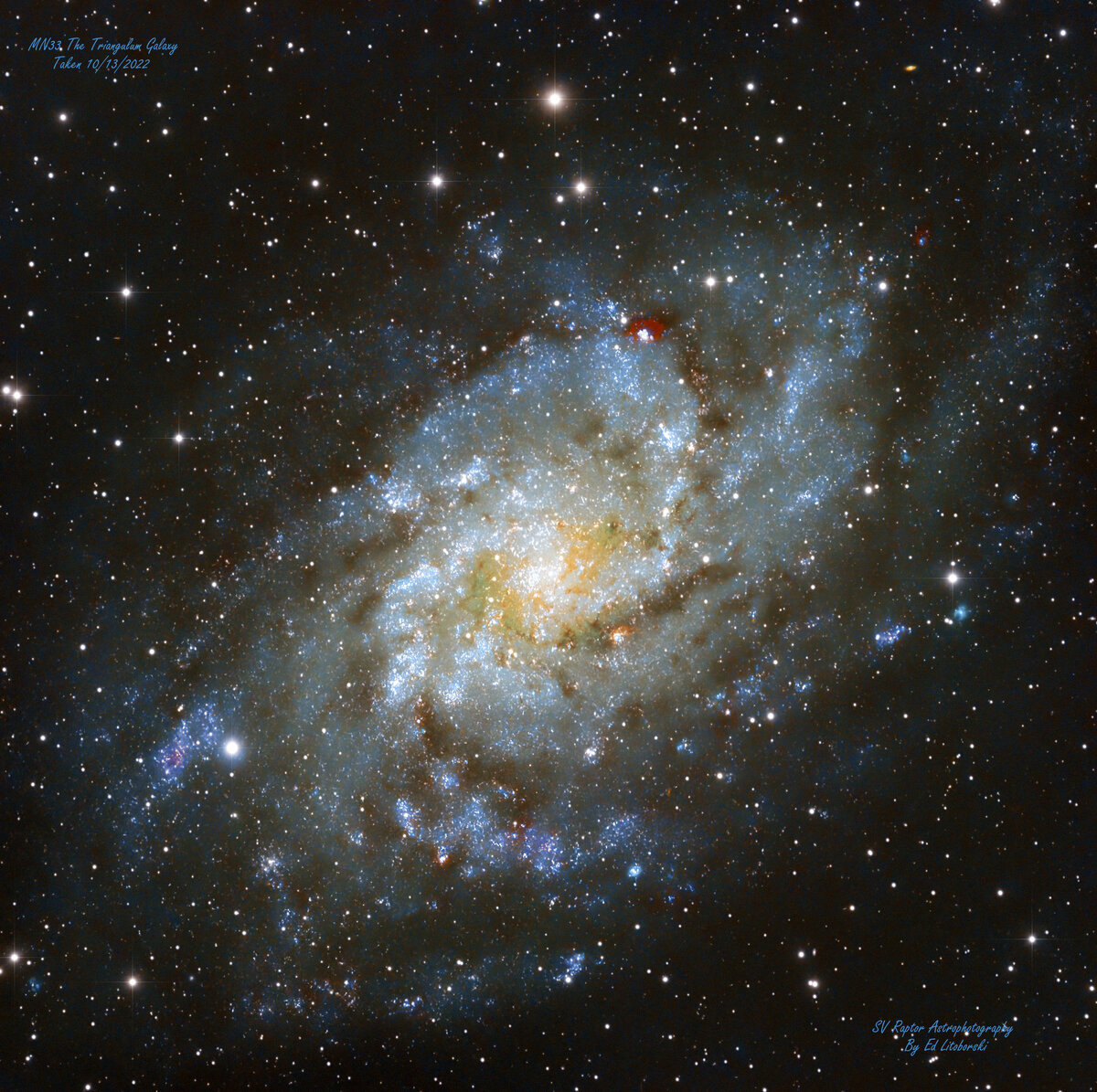 M33_SV_Rev4.1.jpg