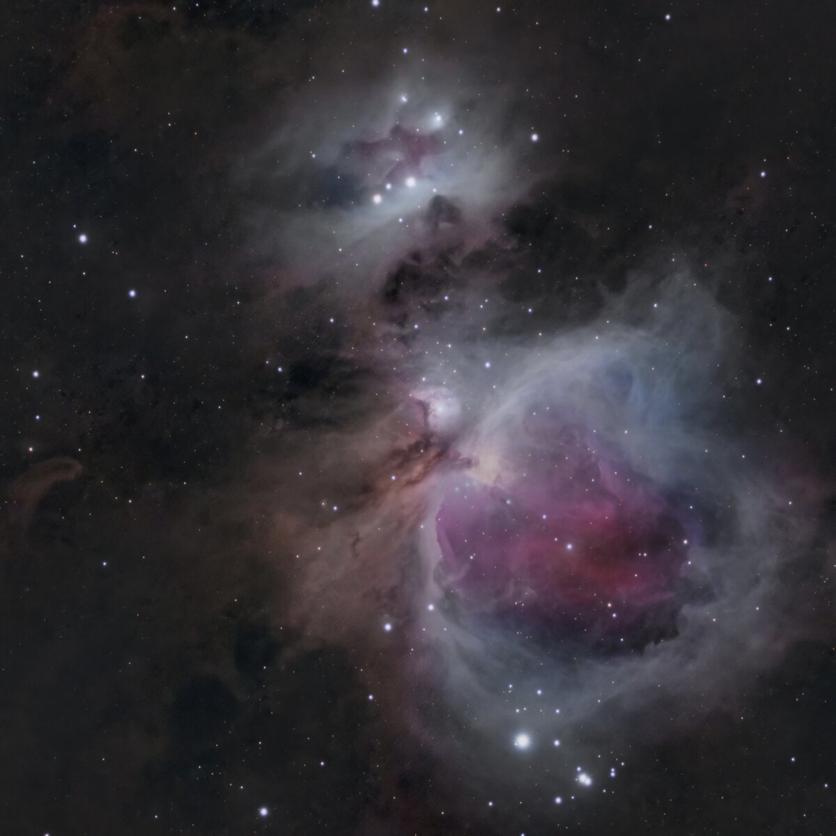 M42_2024-RGB_final copy4.jpeg