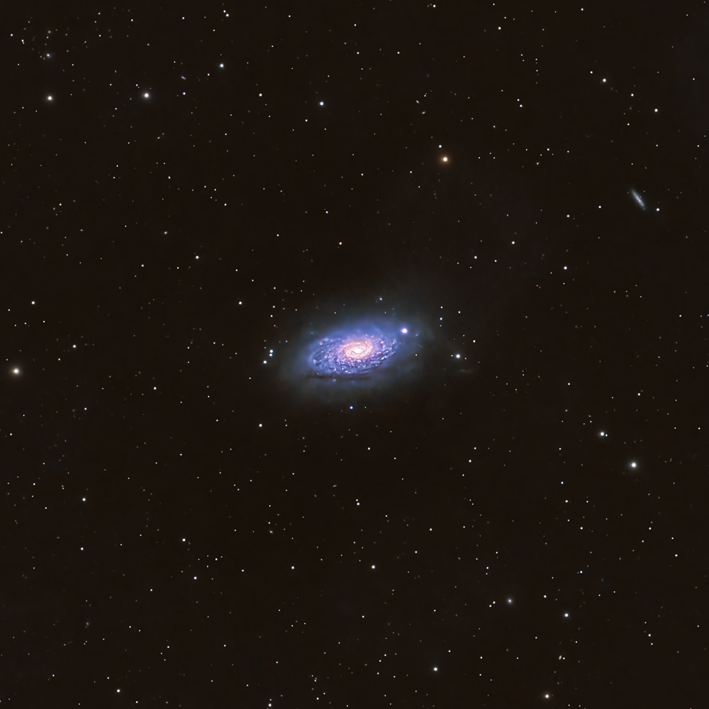 M63_SunflowerGalaxy_20230201_dw.jpg