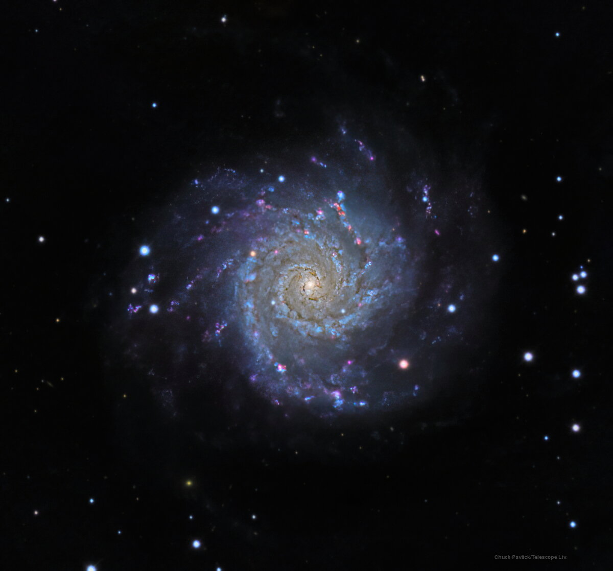 m74.JPG