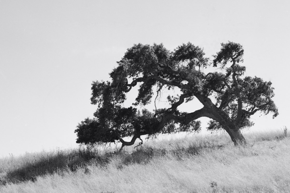 M7_ekep_180625_007_c2w.jpg