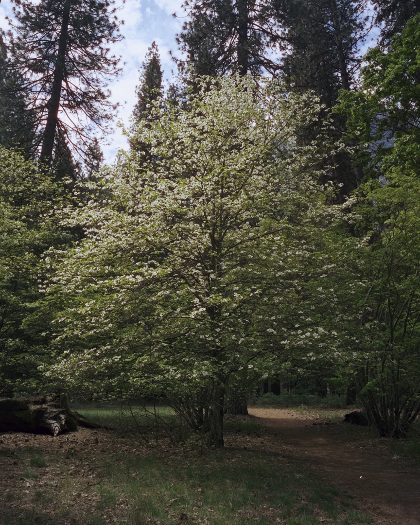 M7csep_190508_010w.jpg