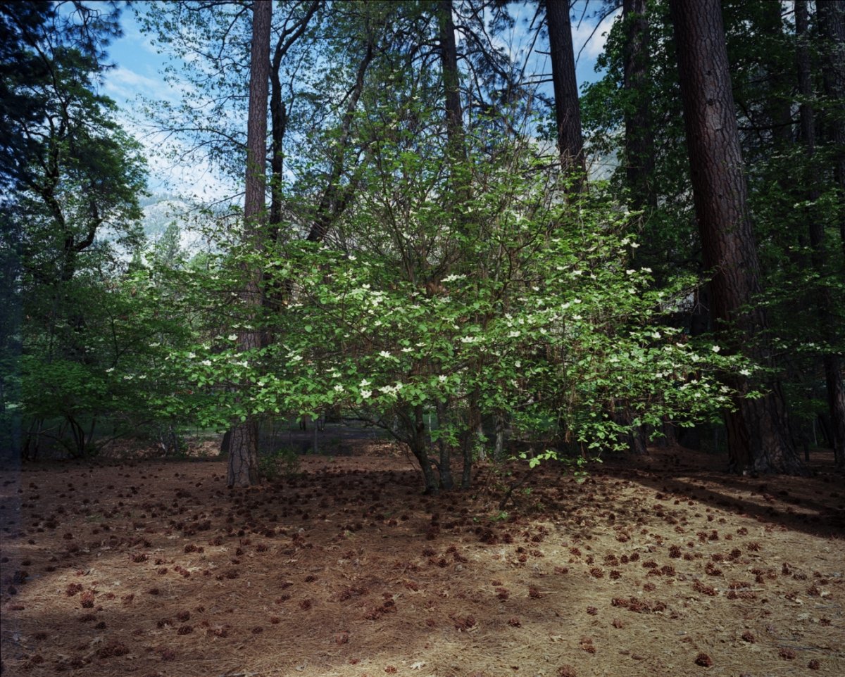 M7csep_190508_011w.jpg